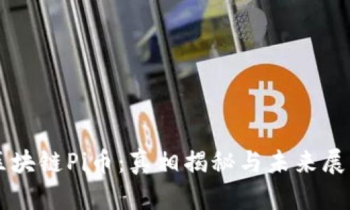 区块链Pi币:真相揭秘与未来展望