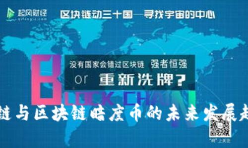 国金公链与区块链暗度币的未来发展趋势分析