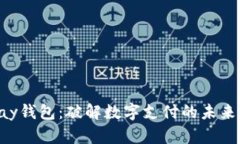 t0pay钱包：破解数字支付的未来之路