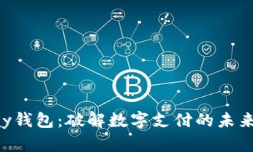 t0pay钱包：破解数字支付的未来之路