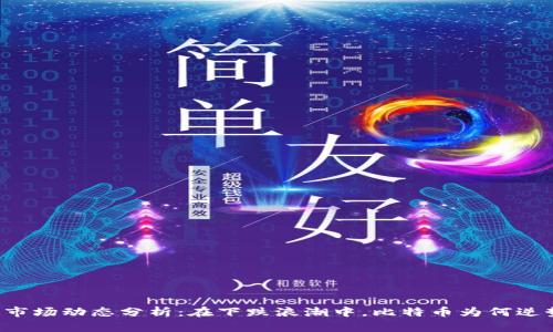 区块链市场动态分析:在下跌浪潮中,比特币为何逆势上涨?