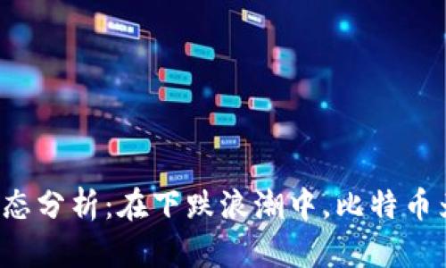 区块链市场动态分析:在下跌浪潮中,比特币为何逆势上涨?