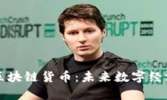 深入解析花币区块链货币:未来数字经济的潜力