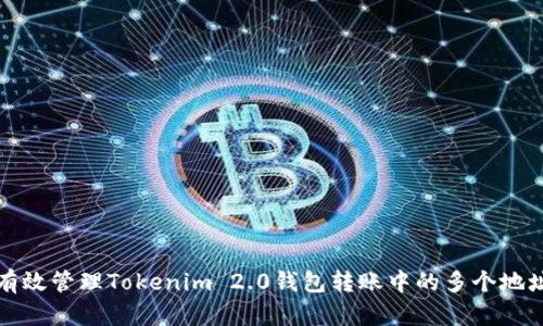 如何有效管理Tokenim 2.0钱包转账中的多个地址问题