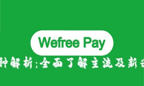 区块链币种解析:全面了解主流及新兴数字货币