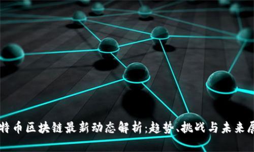 比特币区块链最新动态解析:趋势、挑战与未来展望