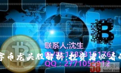 区块链数字币龙头股解析:投资者必看的领军企业