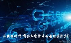 区块链时代:哪些加密货币具有增值潜力?
