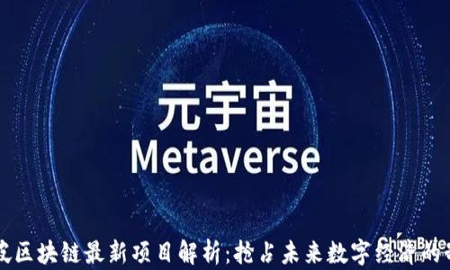 新加坡区块链最新项目解析:抢占未来数字经济的制高点