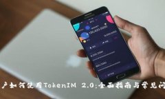 大陆用户如何使用TokenIM 2.0：全面指南与常见问题