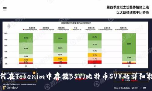 如何在Tokenim中存储BSV(比特币SV)的详细指南