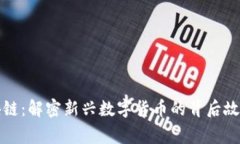 薛蛮子币区块链:解密新兴数字货币的背后故事
