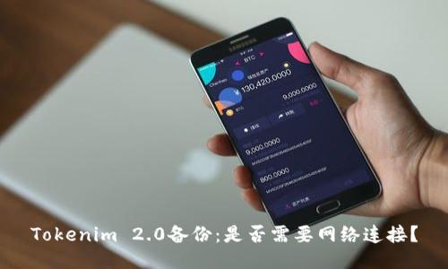 Tokenim 2.0备份:是否需要网络连接?
