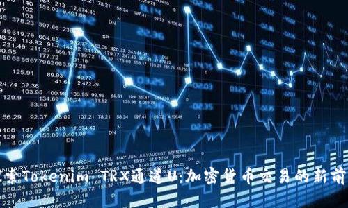 探索Tokenim TRX通道U：加密货币交易的新前沿