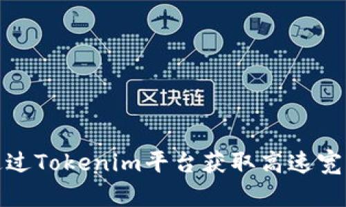 如何通过Tokenim平台获取高速宽带服务