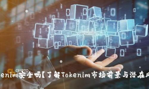 Tokenim安全吗？了解Tokenim市场前景与潜在风险