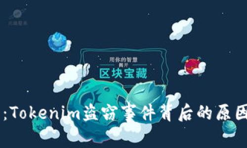 div深入探讨：Tokenim盗窃事件背后的原因与防范措施