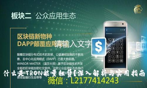 什么是TRON能量租赁？深入解析与实用指南