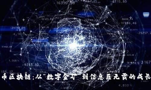 比特币区块链：从“数字金矿”到信息巨无霸的成长之路