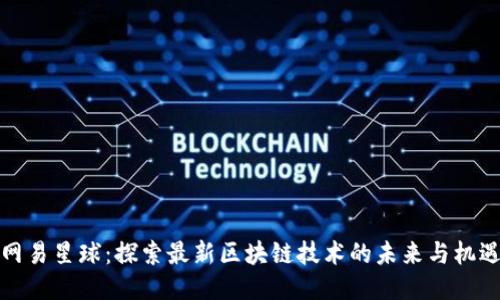 网易星球：探索最新区块链技术的未来与机遇