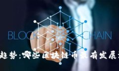 未来趋势：哪些区块链币最有发展潜力？