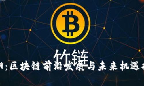 贵阳：区块链前沿发展与未来机遇探讨