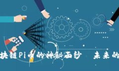 CCTV13带你揭开区块链Pi币的神秘面纱—未来的数字