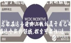 区块链币圈全解：从新手到高手的必备知识分享