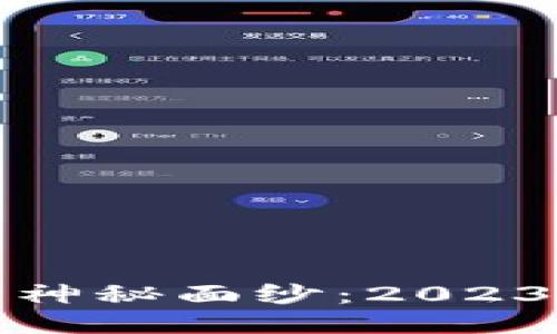 揭开波场区块链的神秘面纱：2023年最新动态与挑战