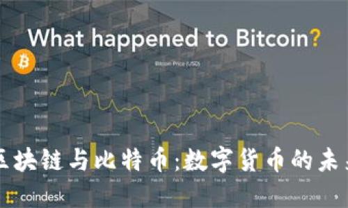 晓币区块链与比特币：数字货币的未来之争