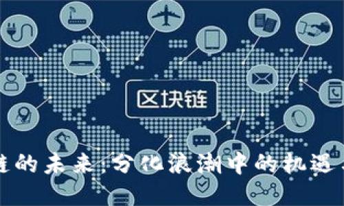区块链的未来：分化浪潮中的机遇与挑战