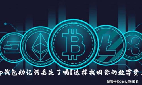 tp钱包助记词丢失了吗？这样找回你的数字资产