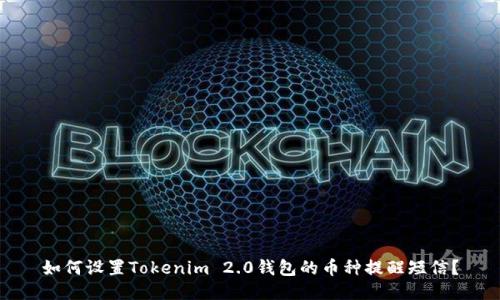 如何设置Tokenim 2.0钱包的币种提醒短信？