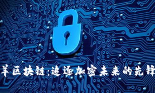 领头羊区块链：追逐加密未来的先锋潮流