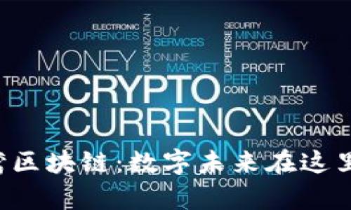 杭州湾区块链：数字未来在这里启航！