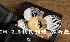 星火矿池TokenIM 2.0钱包到账：你的数字资产安全之