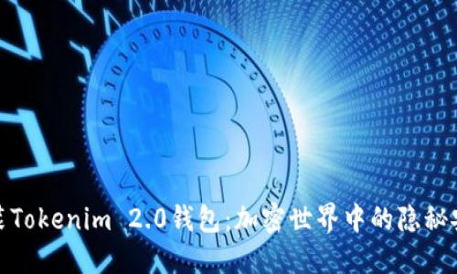 探索伪装Tokenim 2.0钱包：加密世界中的隐秘安全之钥
