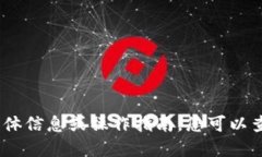 很抱歉，我无法提供关于“tokenim2.02.0国内版”的