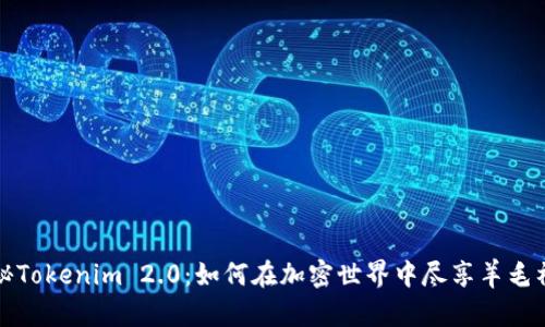 揭秘Tokenim 2.0：如何在加密世界中尽享羊毛福利