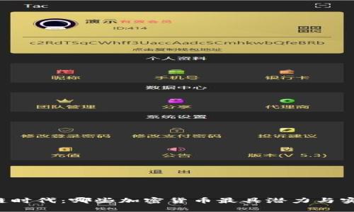 区块链时代：哪些加密货币最具潜力与实用性？