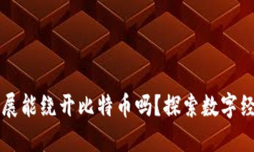 区块链发展能绕开比特币吗？探索数字经济新进程