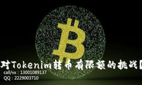 如何有效应对Tokenim转币有限额的挑战？超实用指南