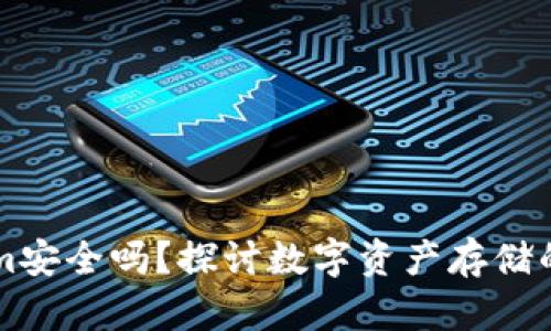 币放在Tokenim安全吗？探讨数字资产存储的隐私与安全性