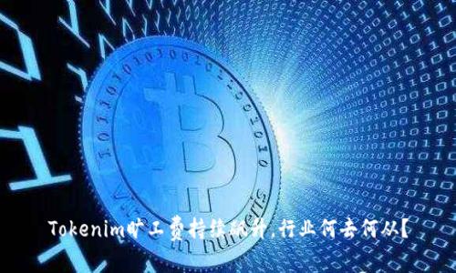 Tokenim旷工费持续飙升，行业何去何从？