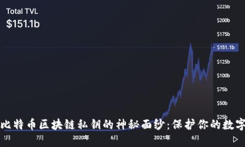 揭秘比特币区块链私钥的神秘面纱：保护你的数字资产