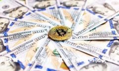 区块链时代的“凯特”：技术与时尚的完美融合