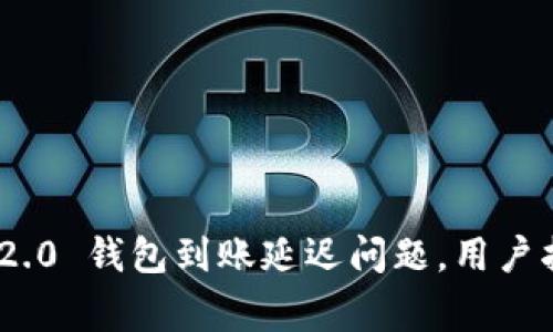 如何解决Tokenim 2.0 钱包到账延迟问题，用户指南与常见问题解答