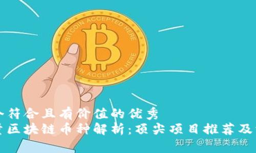 思考一个符合且有价值的优秀  
高吞吐量区块链币种解析：顶尖项目推荐及深度分析