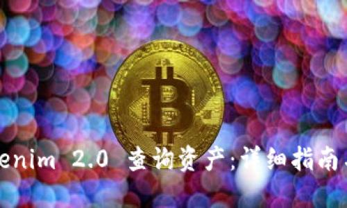 如何在Tokenim 2.0 查询资产：详细指南与实用技巧