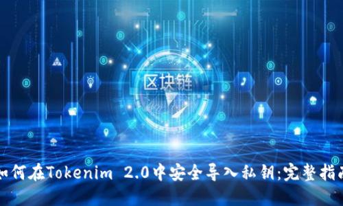 如何在Tokenim 2.0中安全导入私钥：完整指南
